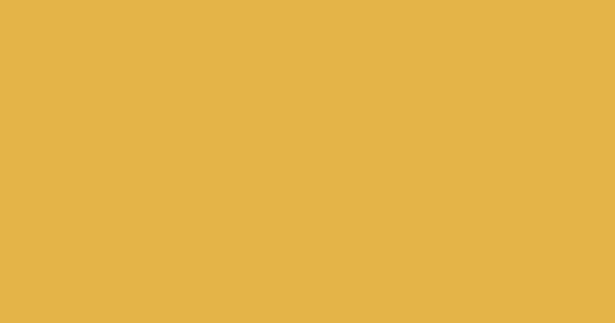 国鉄黄5号 マリーゴールドイエロー E5b349の色見本とカラーコード レールカラー