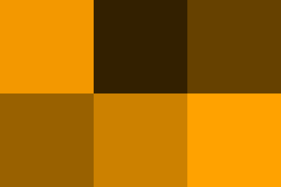 マリーゴールドの配色パターン 色の組み合わせ 原色大辞典