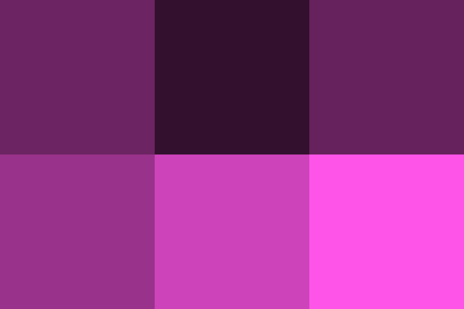 プラムの配色パターン 色の組み合わせ 原色大辞典