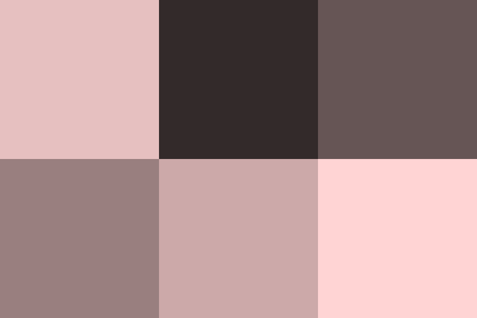 ローズダストの配色パターン 色の組み合わせ- 原色大辞典