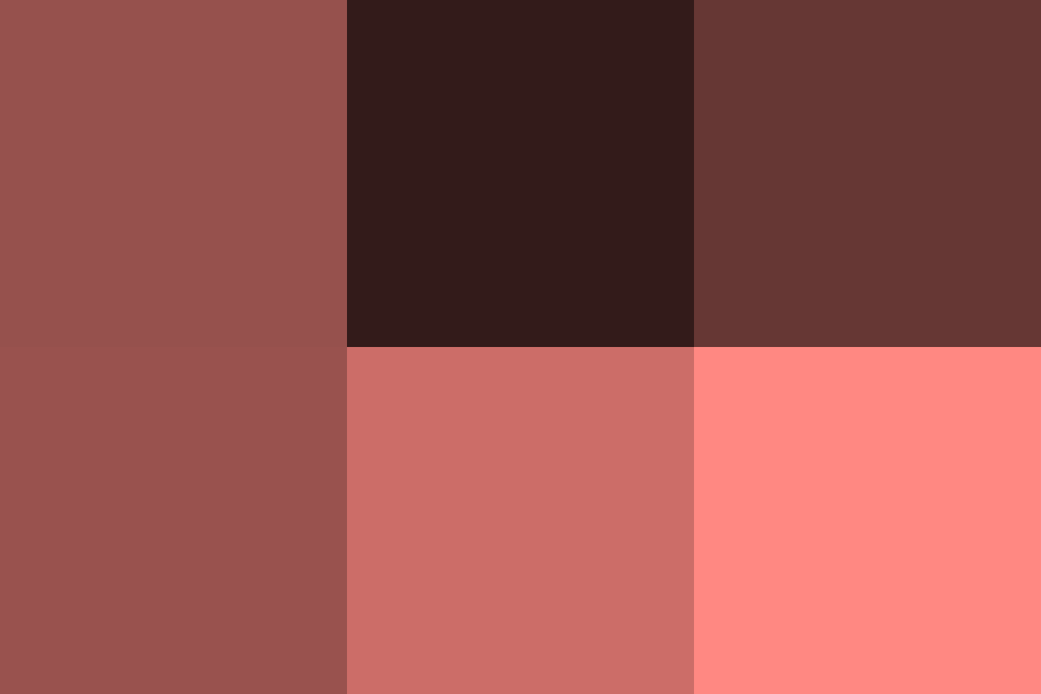 小豆色の配色パターン 色の組み合わせ - 原色大辞典